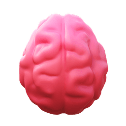 Brain